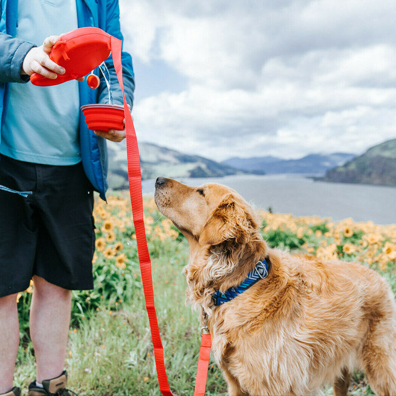 2-in-1 Dog Leash with Water Bottle