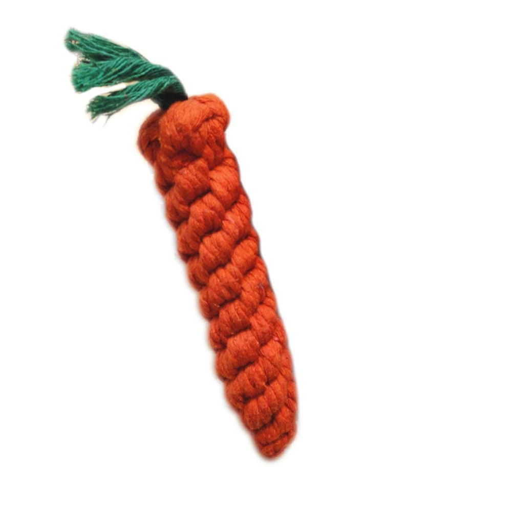 Durable Carrot Chew Toy