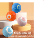 Interactive Smart Ball