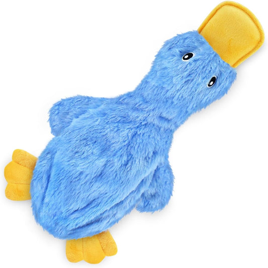 Arlo the MindPlay Blue Duck