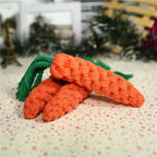 Durable Carrot Chew Toy